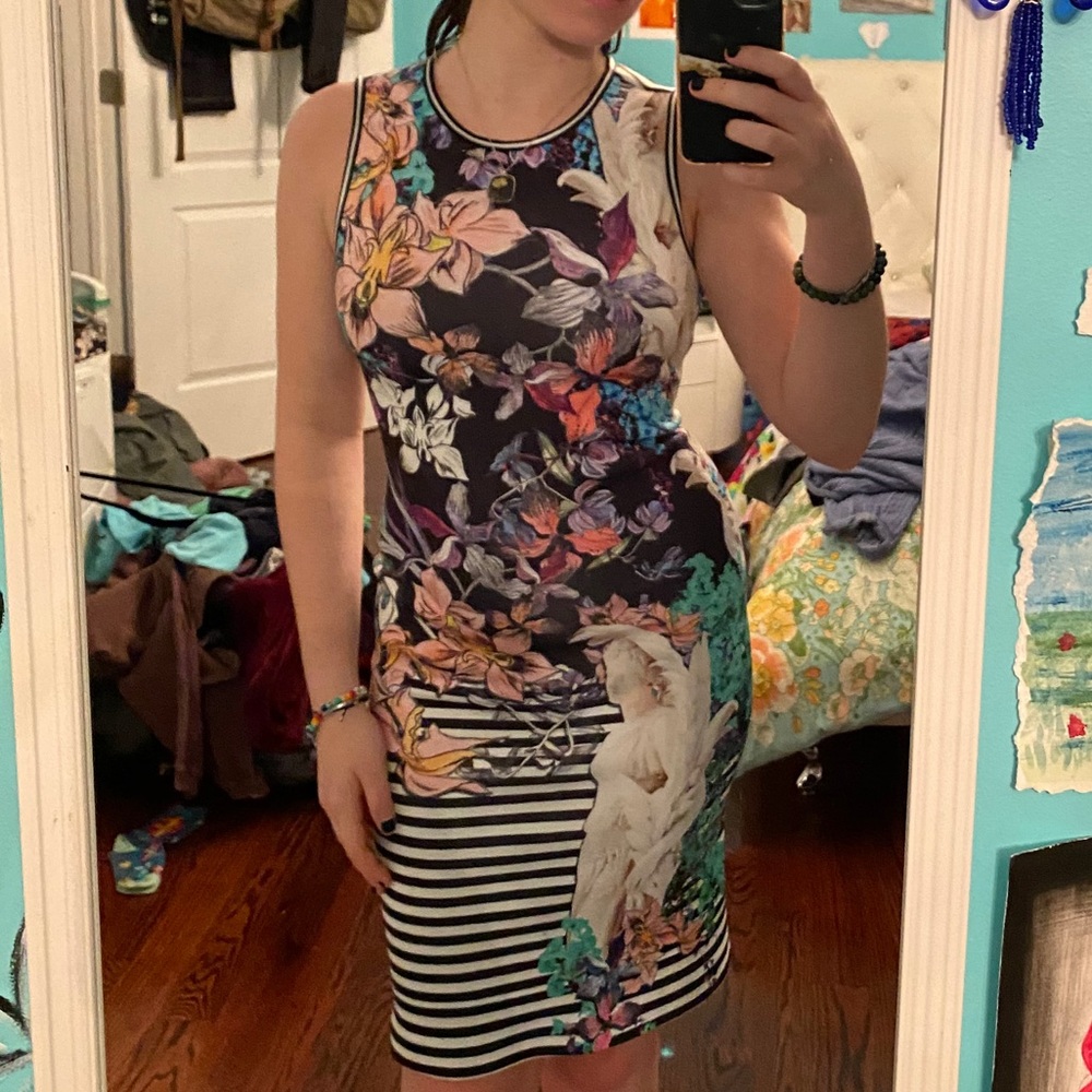 Clover Canyon Dress